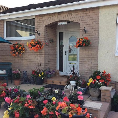 Lowefield B&B สเตอร์ลิง ภายนอก รูปภาพ